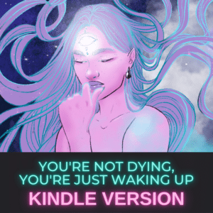 You're Not Dying You're Just Waking Up Kindle E-Book