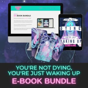 You're Not Dying You're Just Waking Up Book Bundle