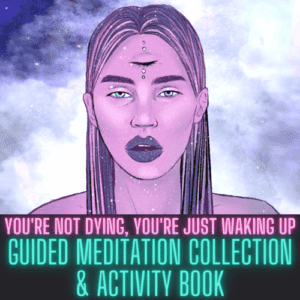 You're Not Dying You're Just Waking Up Activity Book & Meditation Collection