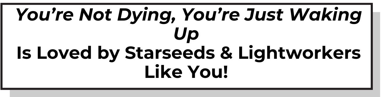 You're Not Dying You're Just Waking Up 15 Why You Need This Book 2