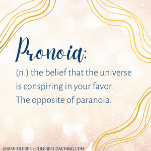 Copy+of+Pronoia