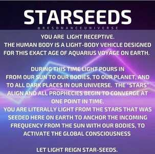 Starseeds